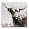 Stupell Industries Black & White Highland Cow Wall Plaque Art Design by Danita Delimont